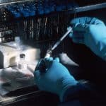 Verana Health Aipowered Innovation Novo Growthparkfiercebiotech