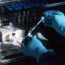 Verana Health Aipowered Innovation Novo Growthparkfiercebiotech