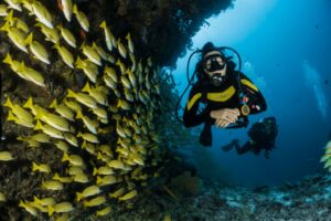 Breath-Hold, Freedive, or Scuba: Comparing Physiological Stressors Underwater